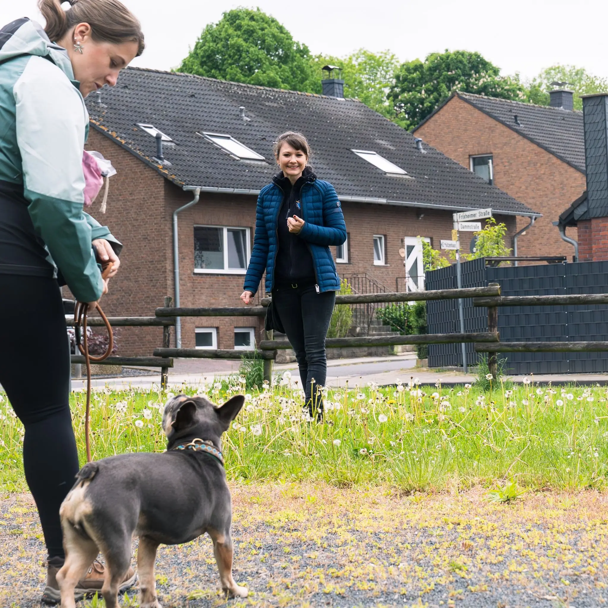 Hundetraining im Alltag mit Mensch und Hund