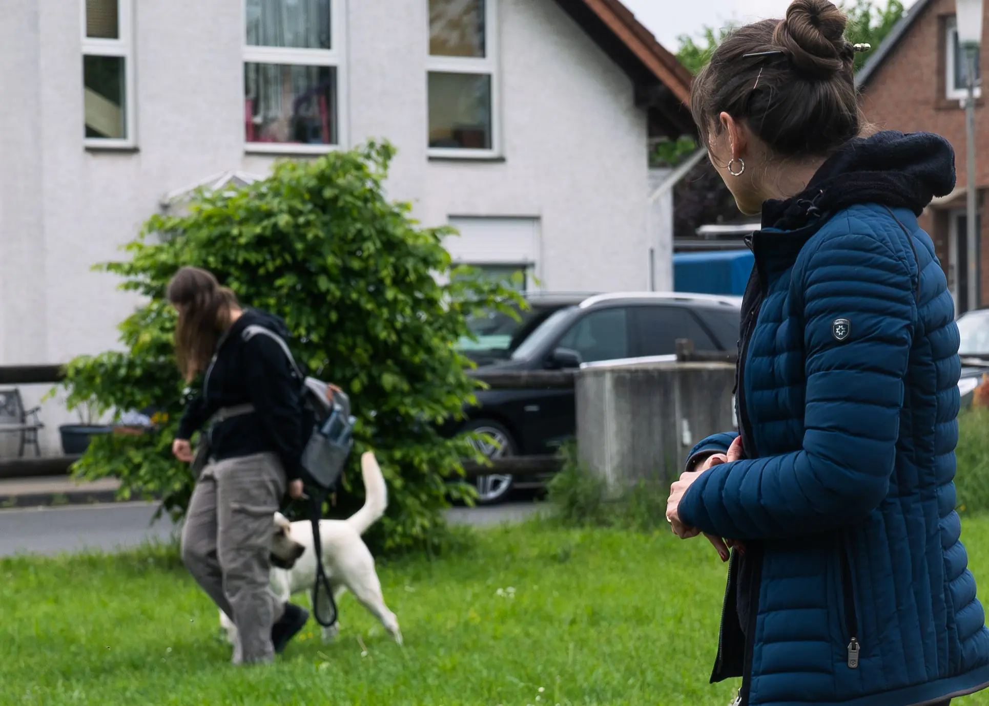 Einzeltraining mit Hund