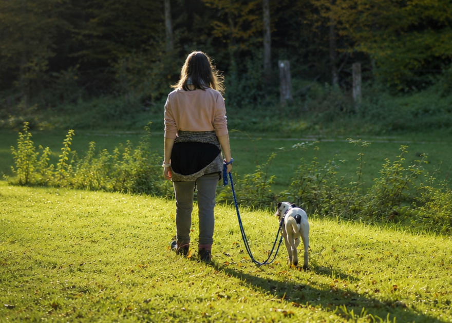 Spaziergang mit Hund an der Leine